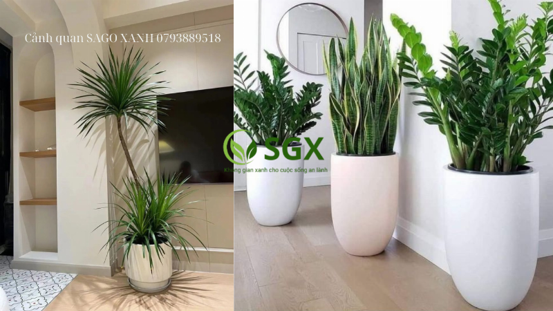 Một gia đình đang thư giãn trong phòng khách trong lành, có biểu tượng oxy và lá cây xanh minh họa lợi ích sức khỏe của cấp khí tươi theo giờ.